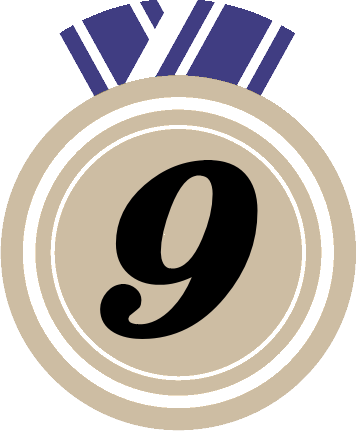 先月の売れ筋人気ランキング9位